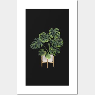 Monstera Plant In Pot Posters and Art